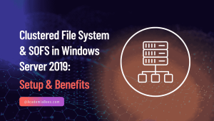 Clustered File System & SOFS in Windows Server 2019: Setup & Benefits